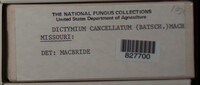 Image Associated With the Occurence